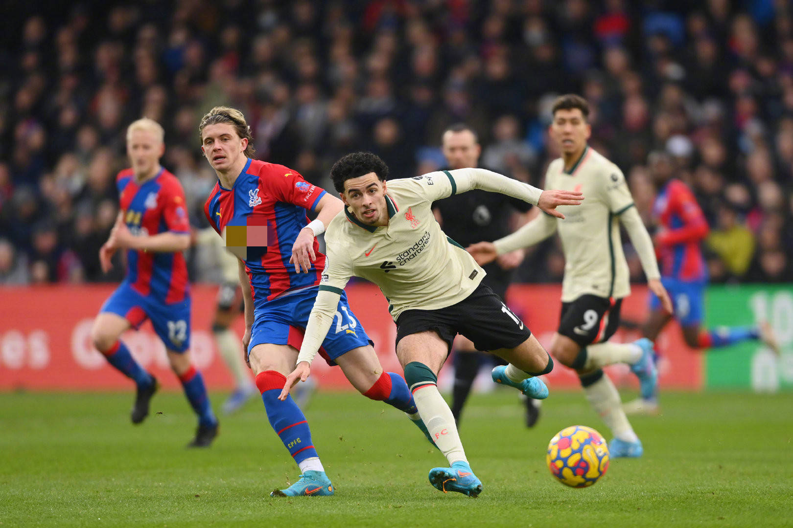 和发展逐渐 和发展逐渐