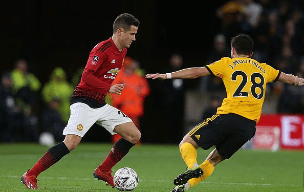 中可能会采 中可能会采